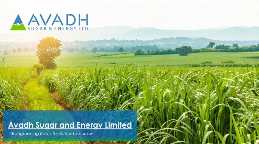 Avadh Sugar & Energy.jpg